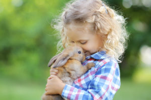 lapin pour son enfant